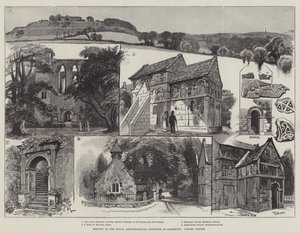Møde i Royal Archaeological Institute i Salisbury, besøgte steder